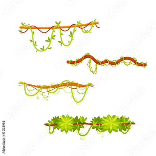 Set of cartoon lianas covered with green leaves, hanging on branches, jungle design elements on white background