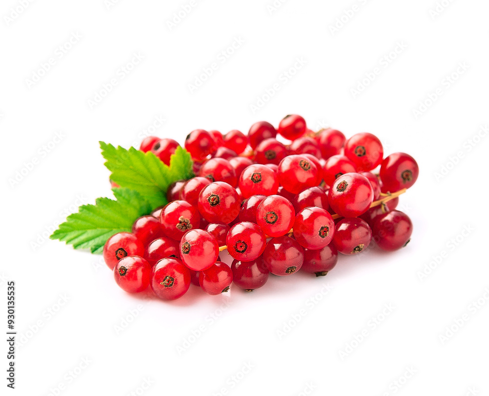 Sweet currant fruits on white backgrounds Sweet currant fruits on white backgrounds