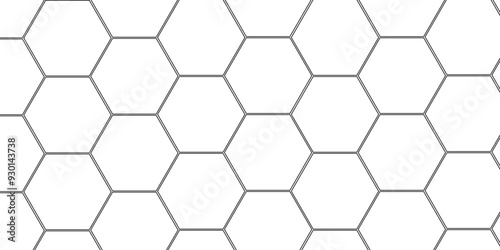 Abstract minimal geometric white and black light background design. Vector illustration of hexagons pattern. luxury white pattern geometric mesh cell texture. Modern pattern elegant gold line template