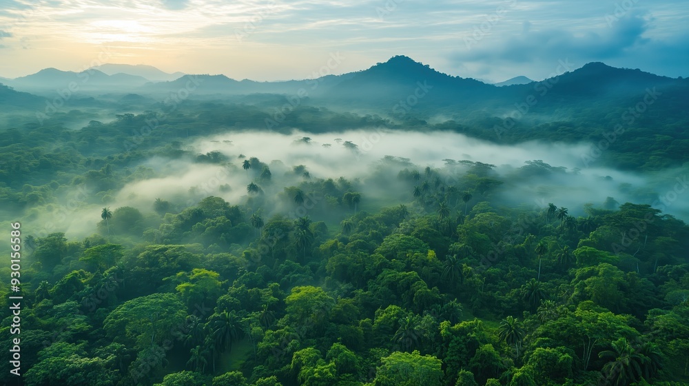 A captivating aerial view of a mist-covered forest landscape with rolling hills, ideal for nature and travel themes. A captivating aerial view of a mist-covered forest landscape with rolling hills, ideal for nature and travel themes.