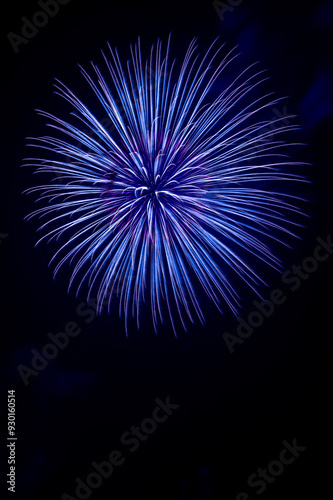 Obraz na płótnie colourful firework display set for celebration happy new year and merry christmas and fireworks on black background w salonie