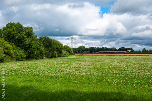 Green meadows and trees at the German countryside around Bredenau, Lower Saxony, Germany photo