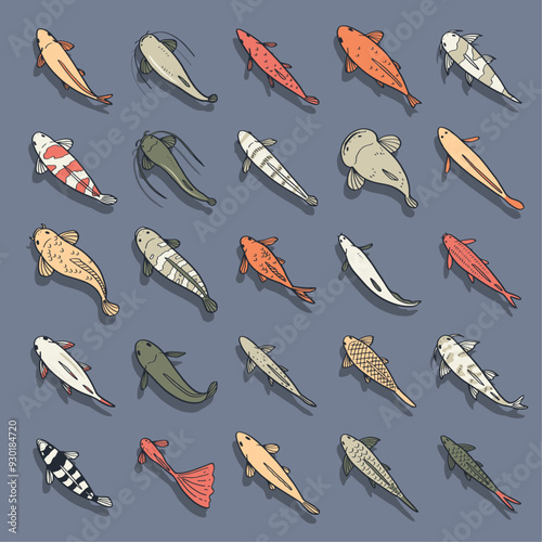 cute cartoon top view of fish illustration isolated on blue background.