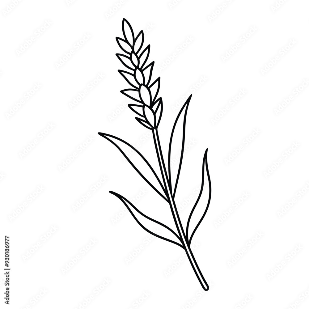 Fototapeta premium Flower Drawing Silhouette Design Vector Illustration Clipart Eps