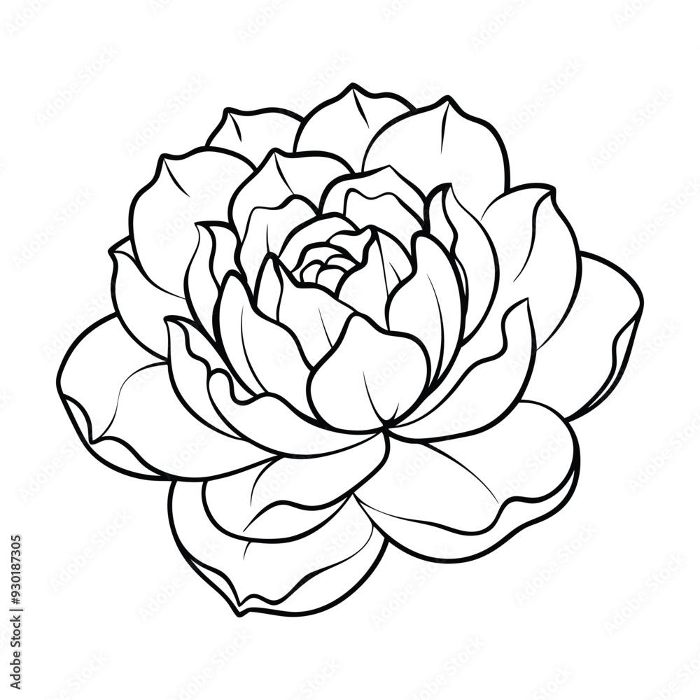 Obraz premium Flower Drawing Silhouette Design Vector Illustration Clipart Eps