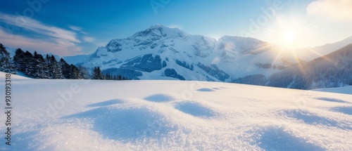  A snow-capped mountain basks in the sun, with a snow-covered hill lying prominently in the foreground Pine trees dot the landscape before us