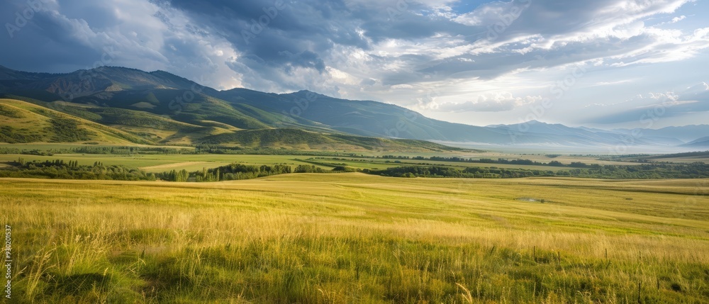 A expansive field of green grass, framed by mountains in the distance Mountains recede into the backdrop, while clouds scatter across the sky above the grass and mountains A expansive field of green grass, framed by mountains in the distance Mountains recede into the backdrop, while clouds scatter across the sky above the grass and mountains