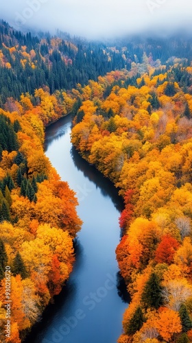 An aerial view of a dense forest with a river cutting through, the trees showing vibrant autumn colors, and the river reflecting the sky