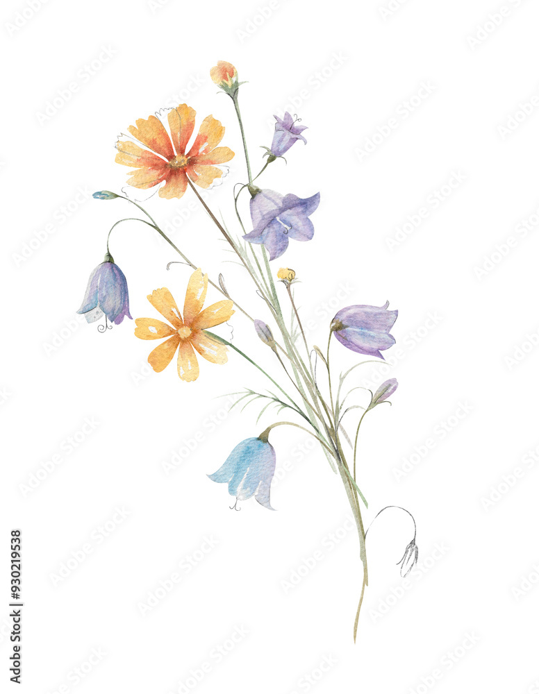 Obraz premium Hand drawn watercolor bouquet of bluebell flower, yellow cosmea, daisy, buds and leaves illustration