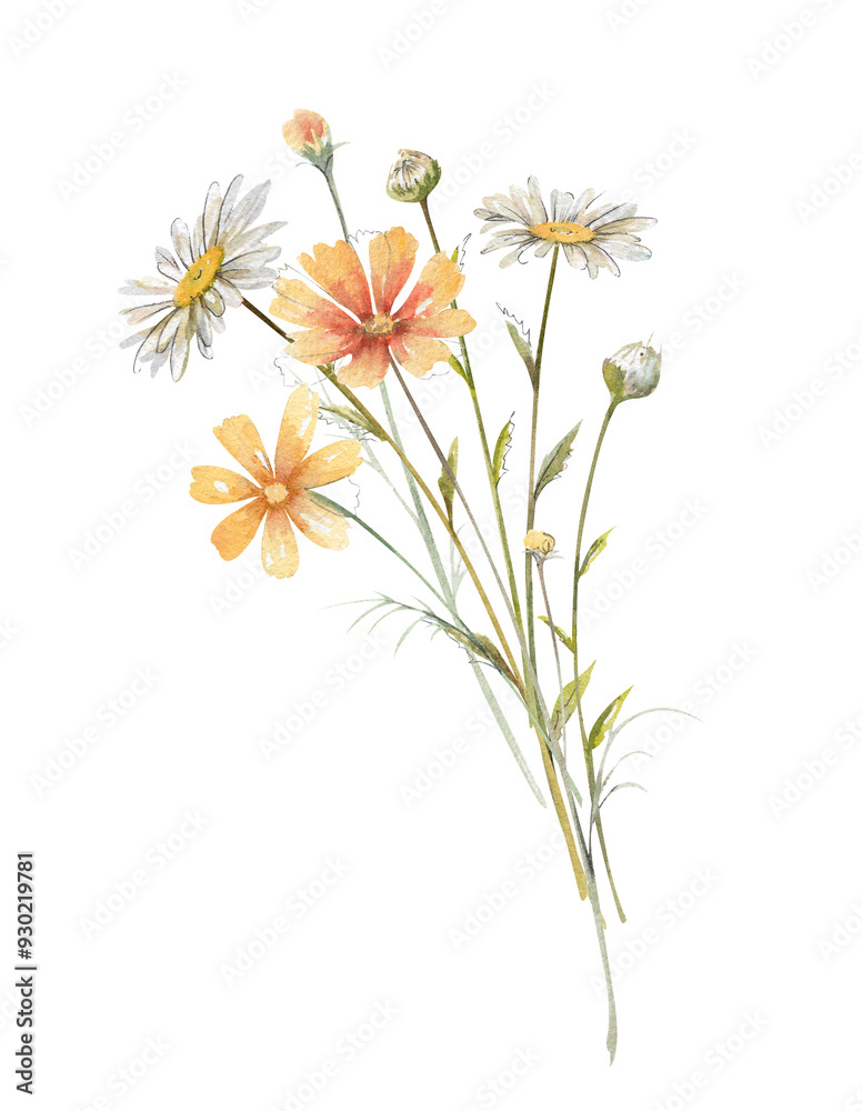 Fototapeta premium Hand drawn watercolor bouquet of yellow cosmea, white chamomile, daisy, buds and leaves illustration
