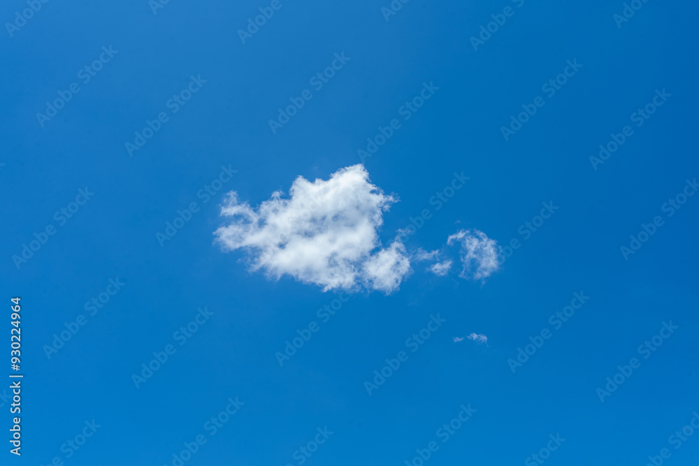 Jellyfish in a sunny, clear blue sky with fluffy white clouds Jellyfish in a sunny, clear blue sky with fluffy white clouds