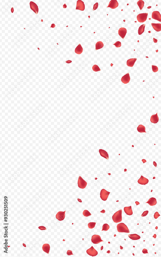 Red_Rose_Petal_Transparent_Background_242.eps Red_Rose_Petal_Transparent_Background_242.eps