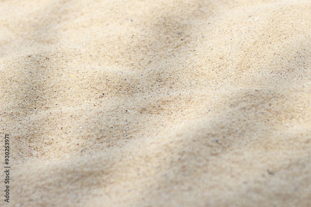 Selective focus of summer and holiday backgrounds concepts with shadow of coconut leaf Selective focus of summer and holiday backgrounds concepts with shadow of coconut leaf