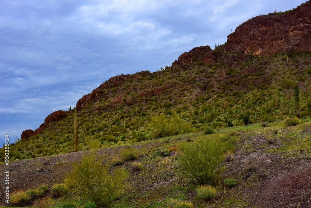 Sonora Desert Arizona Picacho Peak State Park Sonora Desert Arizona Picacho Peak State Park