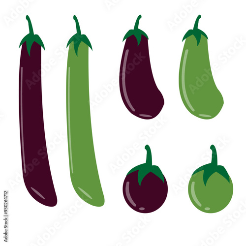 set of eggplants with different varieties, long (Chinese), medium (American), and round