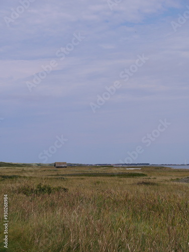 Dänemark - Dünen