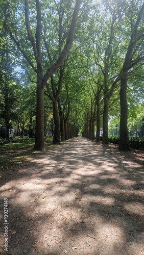 footpath in the park