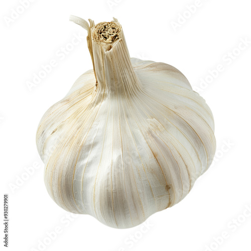 Top view of a whole clove of garlic with its off-transparent papery skin, isolated on a transparent background  photo