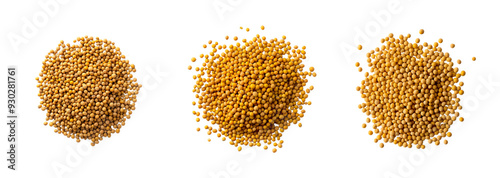 Three piles of mustard seeds symbolize the concept of growth and abundance during the Makar Sankranti festival photo