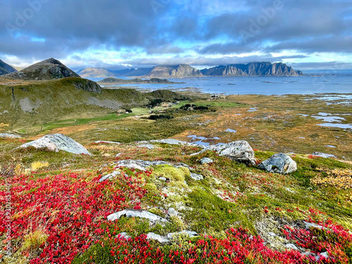 scenic view on autumnal landscape in norway  with bright red foliage  and fjo...