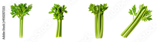 Fresh green celery stalks on a transparent background promoting healthy eating and diet nutrition