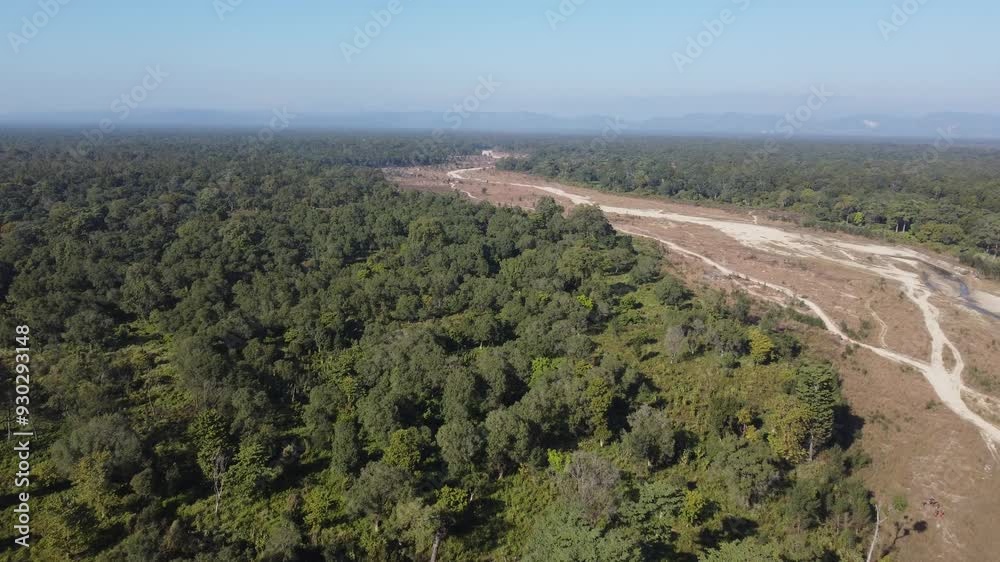 Aerial view of forest trees Rainforest ecosystem and healthy environment background, Texture of green trees forest top down High angle view. green forest located in Nepal. Aerial view of forest trees Rainforest ecosystem and healthy environment background, Texture of green trees forest top down High angle view. green forest located in Nepal.
