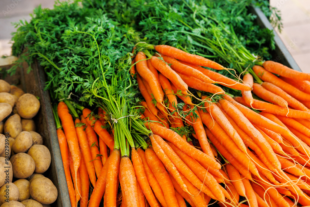 Close-up view fresh juicy clean orange local farmer's carrot bunch and potato street market retail counter stall sunny day. Local domestic organic plant vegetables at store. Sustainable agriculture