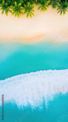 Aerial of a tranquil beach at sunrise with gentle waves washing over the shore and palm trees lining the edge of the sand