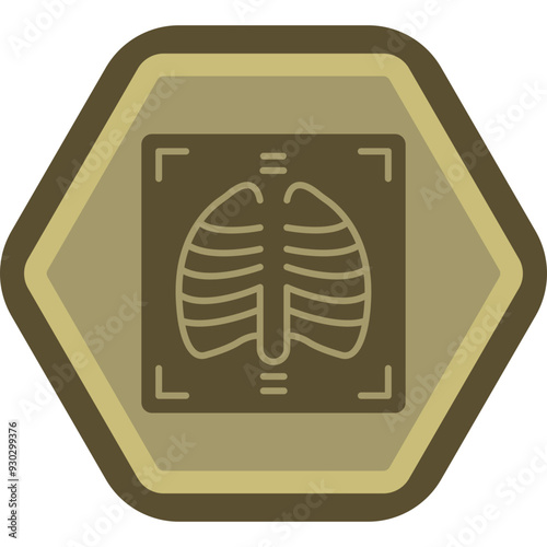 X Ray Icon Design