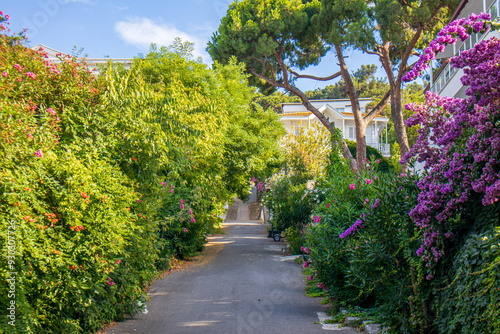 pedestrian path in the island photo