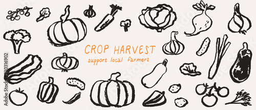 Hand drawn vegetables in minimalist ink brush charcoal style. Decorative crop vector elements for market invitation or promotion, menu and package design. Black silhouette outline isolated on white.