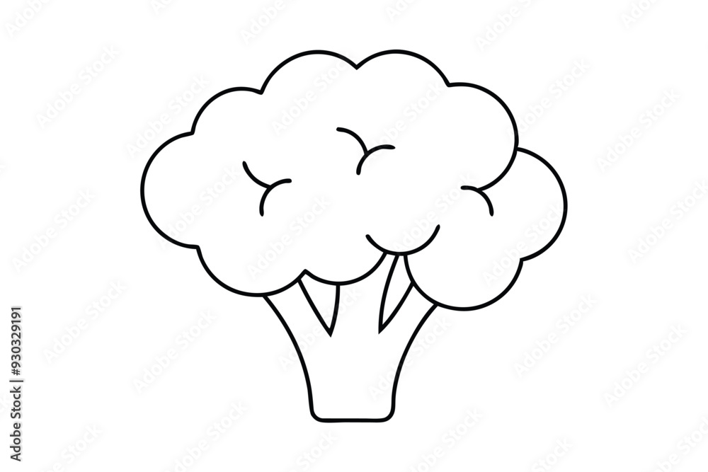 Broccoli vegetable line art vector illustration Broccoli vegetable line art vector illustration