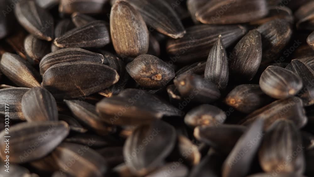 The sunflower seeds on a plate close-up. The sunflower seeds after harvest. Pile of Dried Sunflower Unpeeled Seeds, a Healthy Source of Vitamins in Vegan Food. The sunflower seeds on a plate close-up. The sunflower seeds after harvest. Pile of Dried Sunflower Unpeeled Seeds, a Healthy Source of Vitamins in Vegan Food.