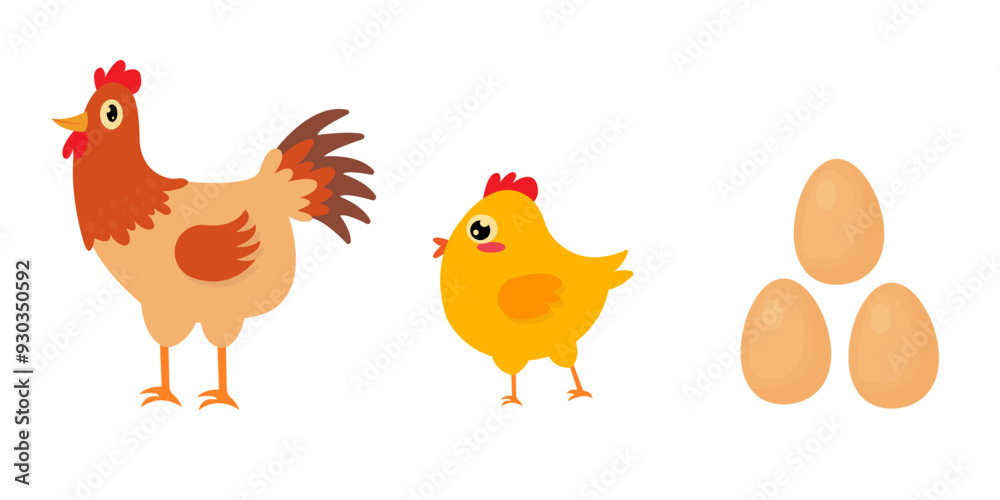 vector of the chicken's life cycle which originates from the egg and grows to the chick and adult chicken. flat cartoon design. vector of the chicken's life cycle which originates from the egg and grows to the chick and adult chicken. flat cartoon design.