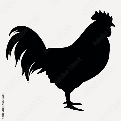 Silhouette rooster farm animal