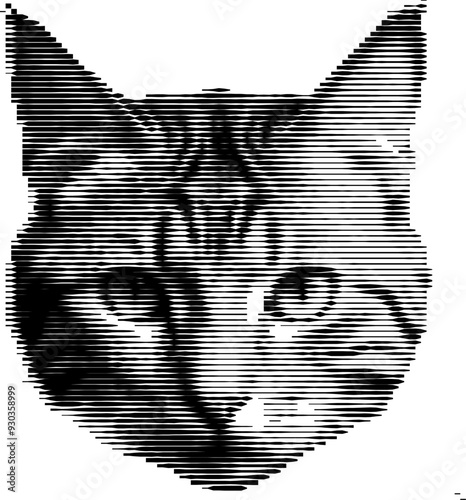 The striped visage of a housecat emerges in grayscale.