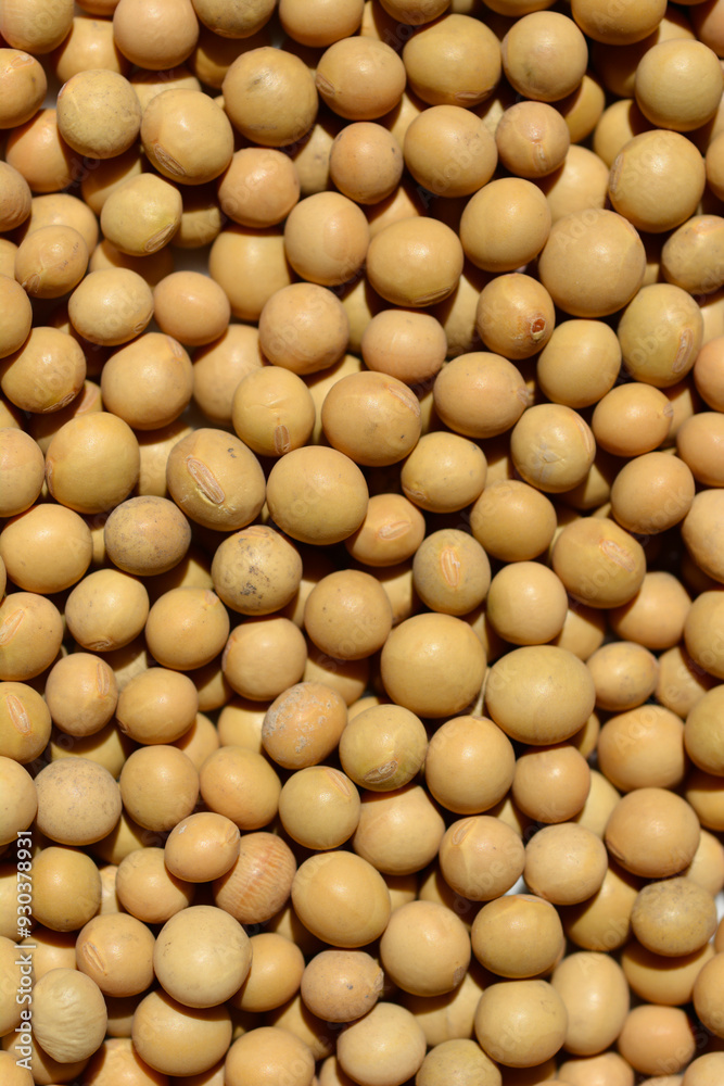 Detail of a surface covered with uncooked dry soybeans Detail of a surface covered with uncooked dry soybeans