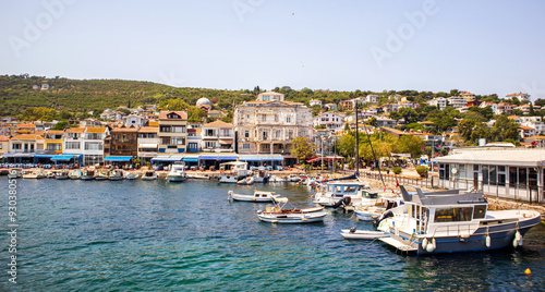 Fototapeta Naklejka Na Ścianę i Meble -  view of the port of the  burgazada island istanbul