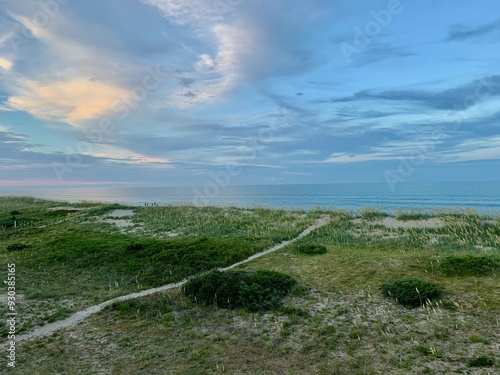 Beach Dunes