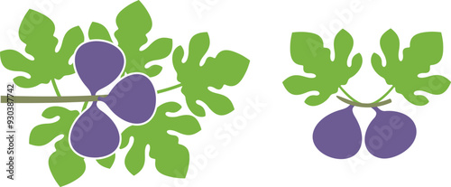 Fig logo. Isolated fig on white background