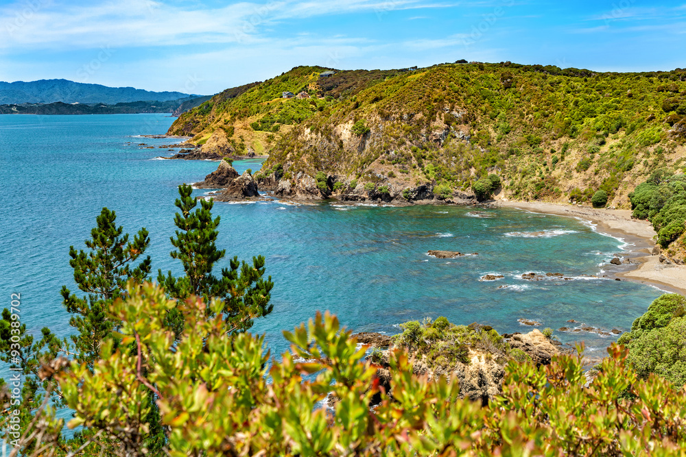 Obraz premium Rocky Bay Reserve, Russell, North Island, New Zealand, Oceania.