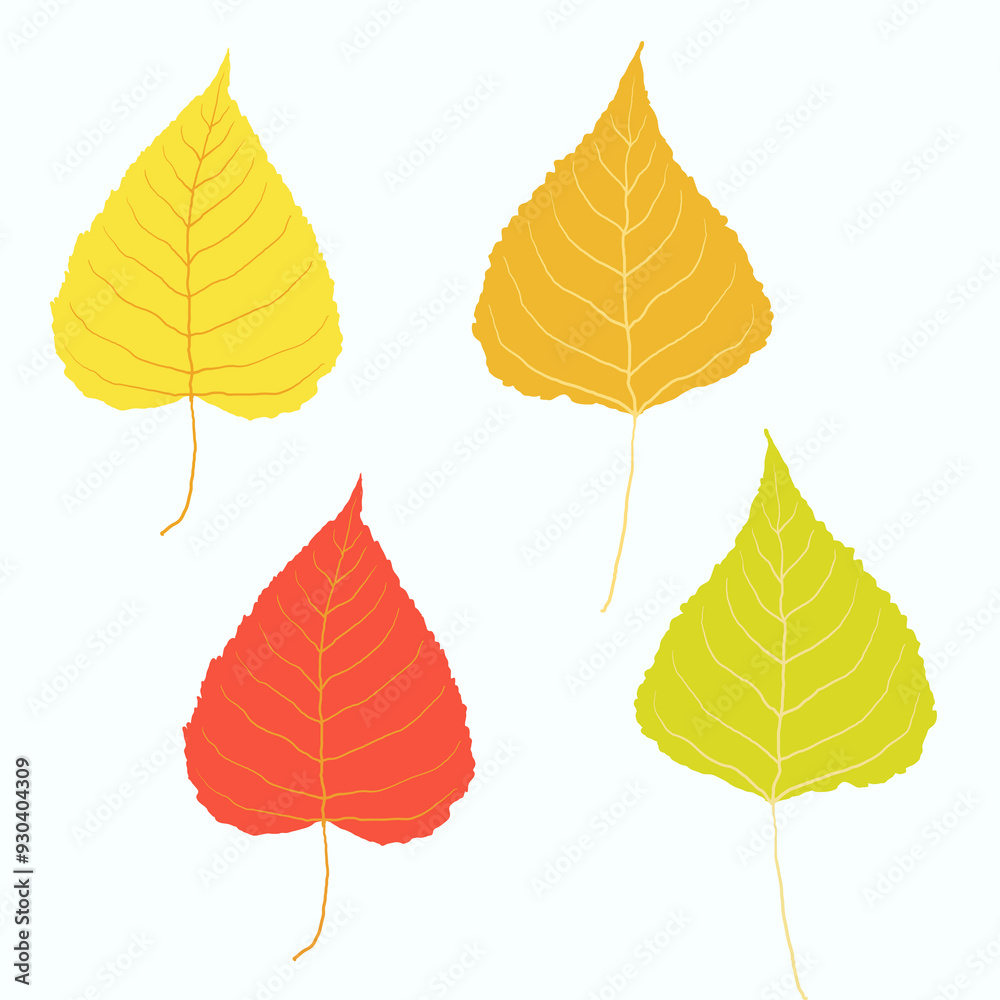 Fototapeta premium Autumn leaves on white background. Hand drawn vector collection of poplar foliage. Red, yellow, orange, green colors. Messy organic shapes
