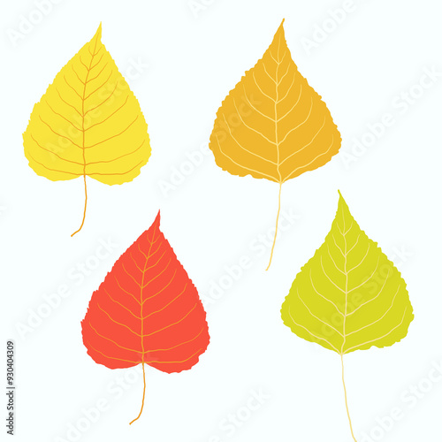 Autumn leaves on white background. Hand drawn vector collection of poplar foliage. Red, yellow, orange, green colors. Messy organic shapes