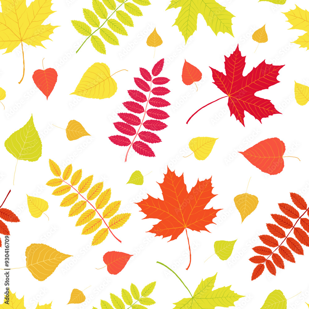 Fototapeta premium Autumn leaves pattern on white background. Hand drawn vector red rowan, poplar and maple foliage. Red, yellow, orange, green, purple, pink colors. Messy organic shapes