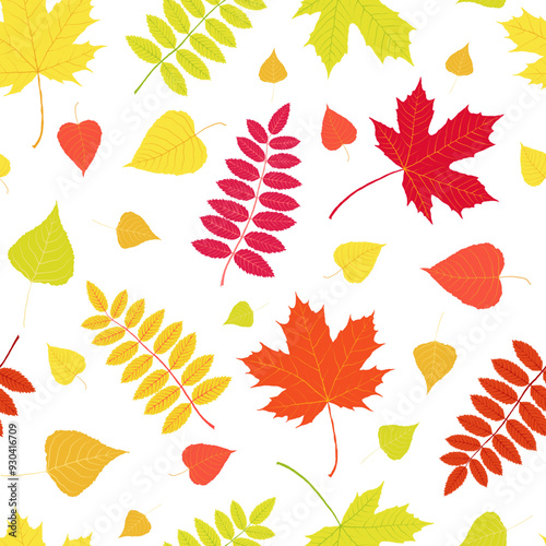 Autumn leaves pattern on white background. Hand drawn vector red rowan, poplar and maple foliage. Red, yellow, orange, green, purple, pink colors. Messy organic shapes