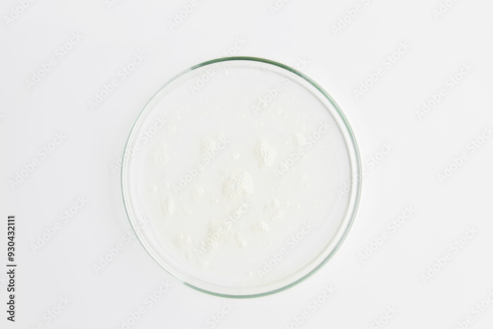 Drops of transparent gel with bubbles in a Petri dish on a light background.