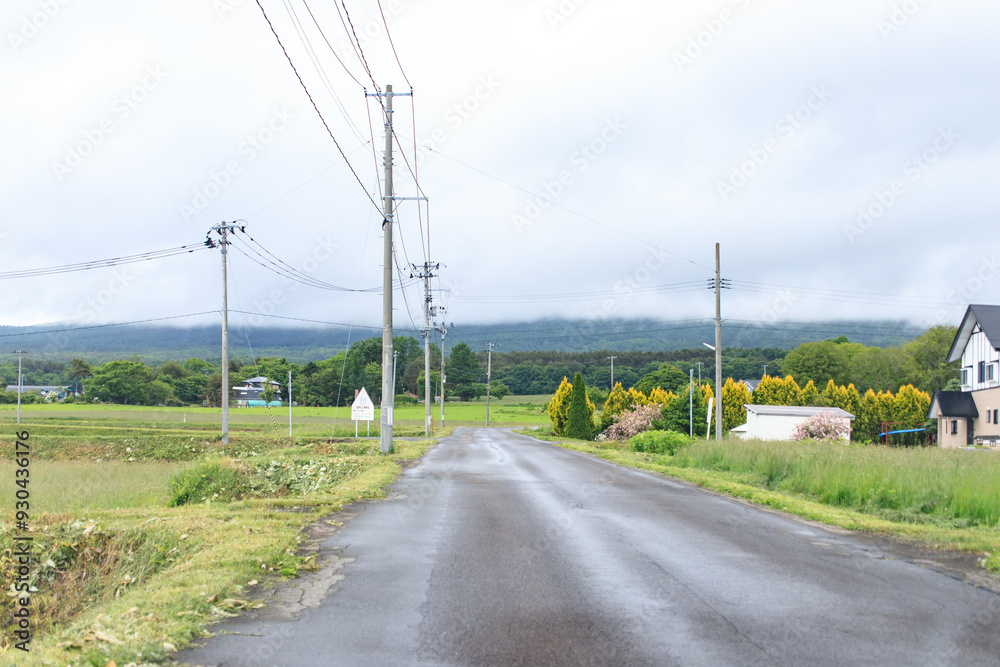 Tranquil Country Road: A Serene Scene Under a Cloudy Sky Tranquil Country Road: A Serene Scene Under a Cloudy Sky
