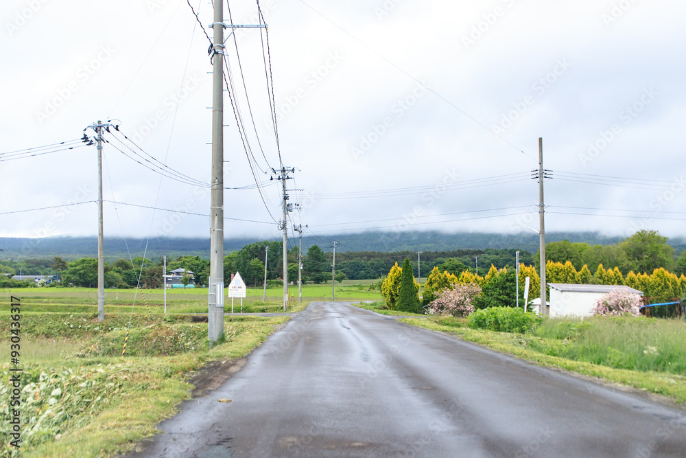 A Straight Road Leading to a Distant Horizon A Straight Road Leading to a Distant Horizon