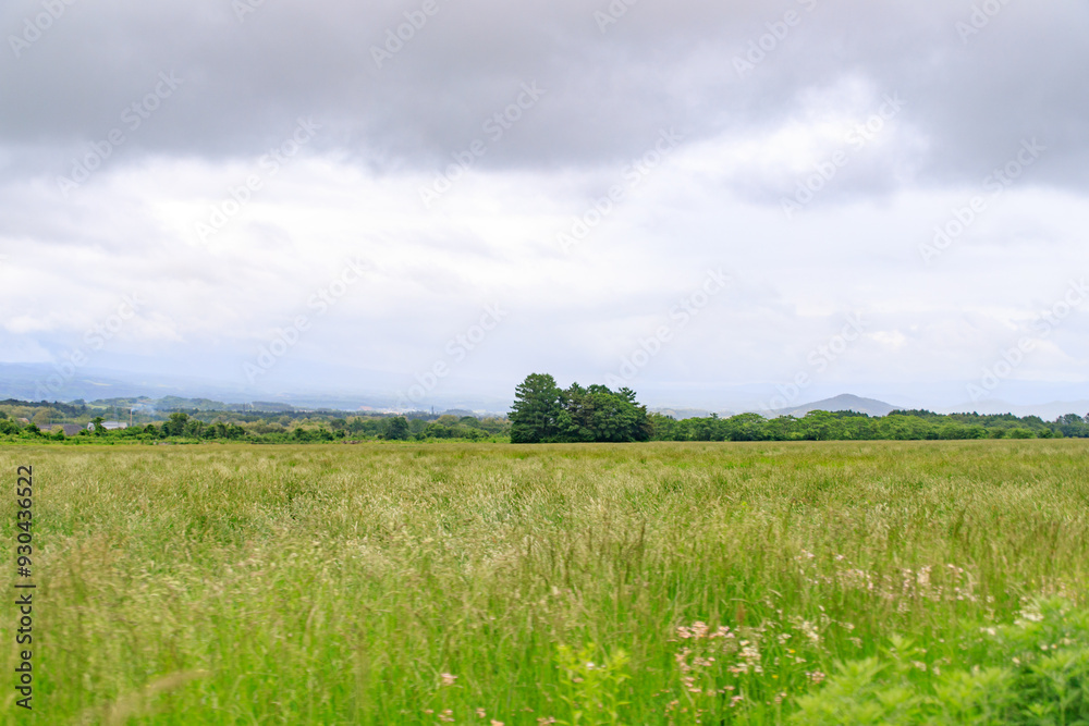 A Serene Rural Landscape: Nature's Tranquil Beauty
A Serene Rural Landscape: Nature's Tranquil Beauty