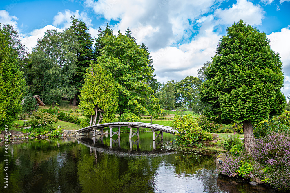 Background photography of Japanese style garden with pond and wooden bridge; park; botanic; lily in water; reflection; bush; flower; beauty; peaceful; plants Background photography of Japanese style garden with pond and wooden bridge; park; botanic; lily in water; reflection; bush; flower; beauty; peaceful; plants